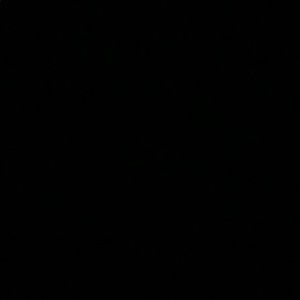 Meet your Posher, Ozzy